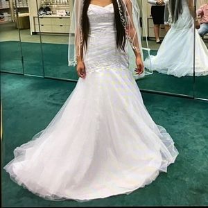 David's Bridal Wedding dress